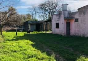 Lote,En Venta,1231