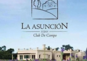 Lote,En Venta,1437