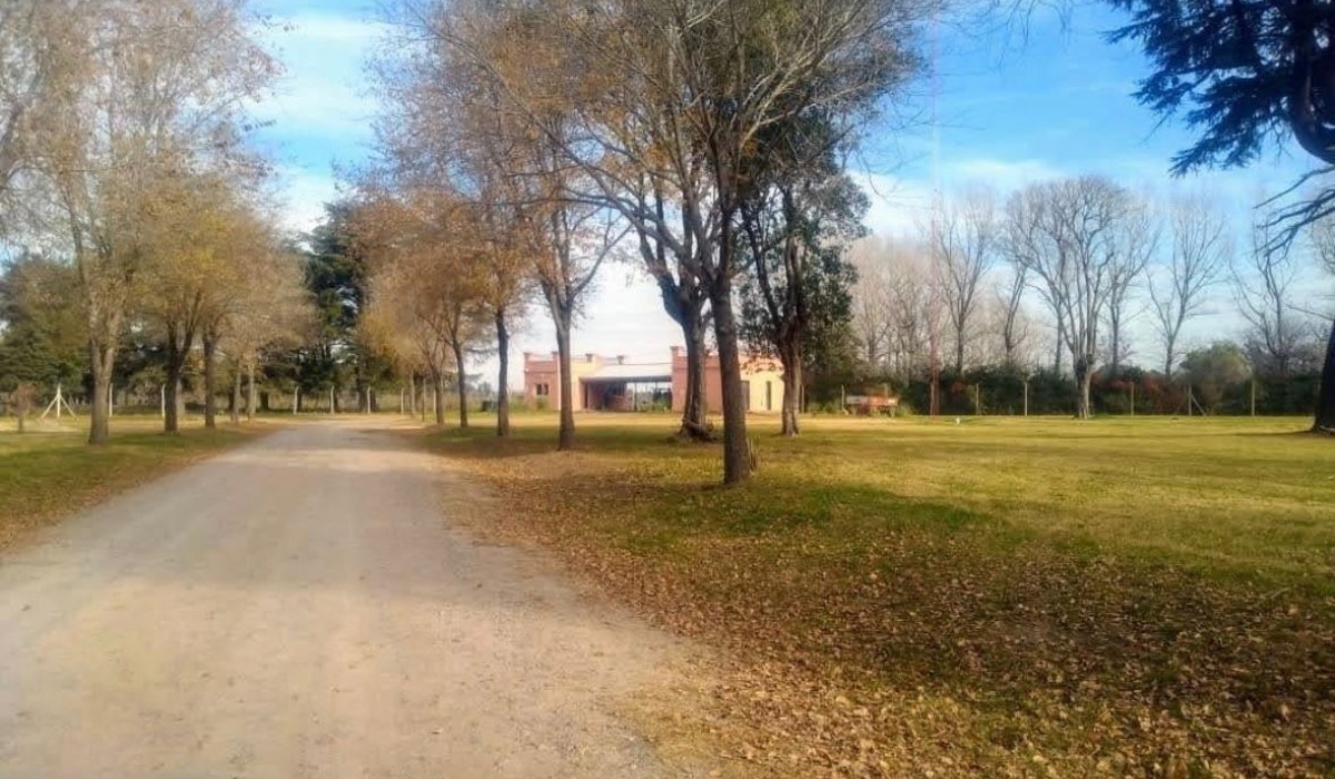 Lote,En Venta,1437