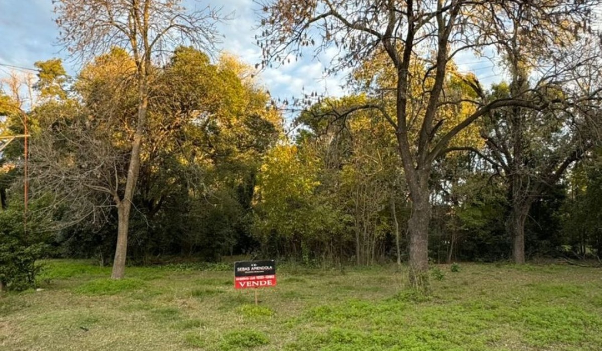 Lote,En Venta,1442