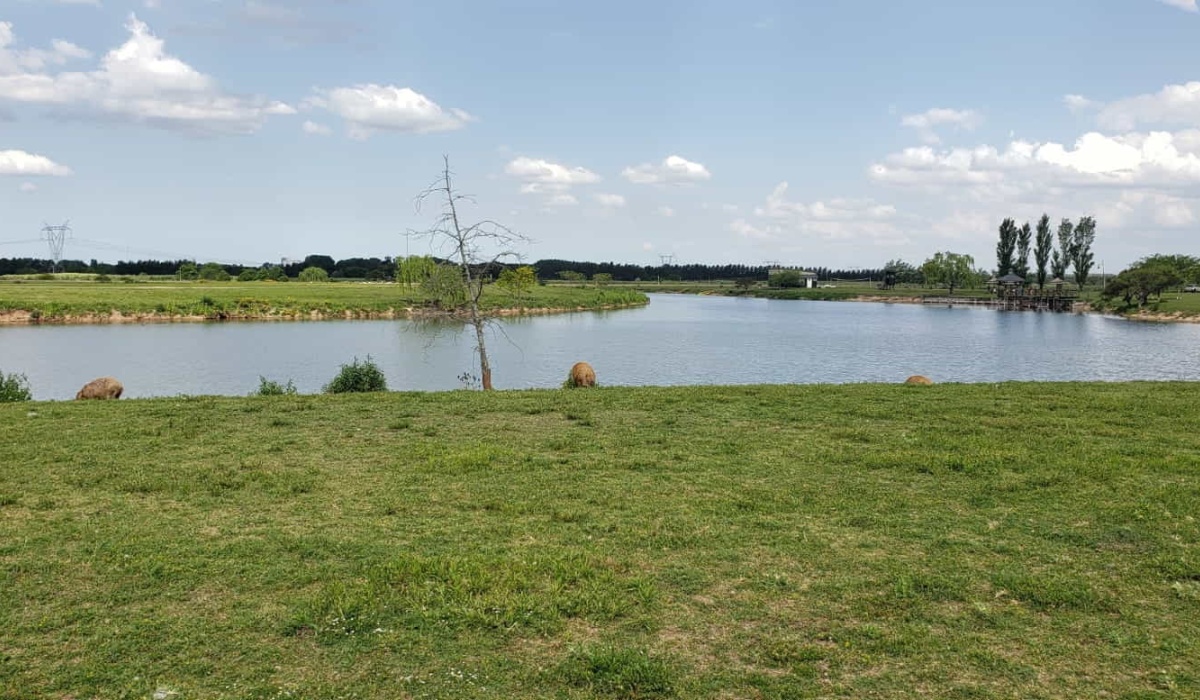 Lote,En Venta,1462