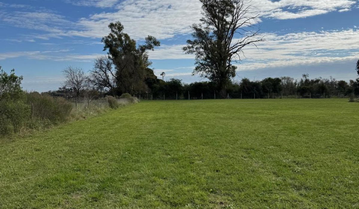 Lote,En Venta,1482
