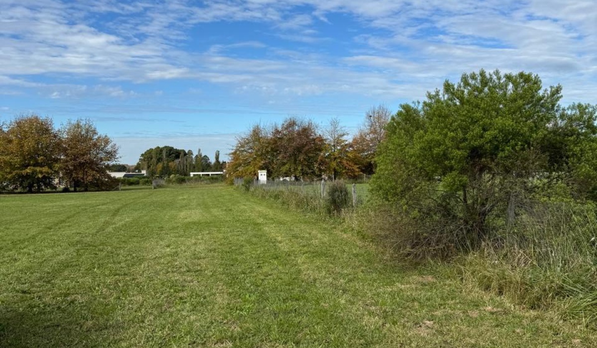 Lote,En Venta,1482