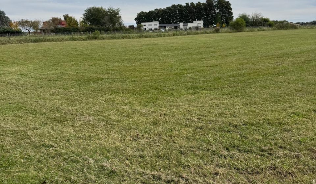 Lote,En Venta,1482
