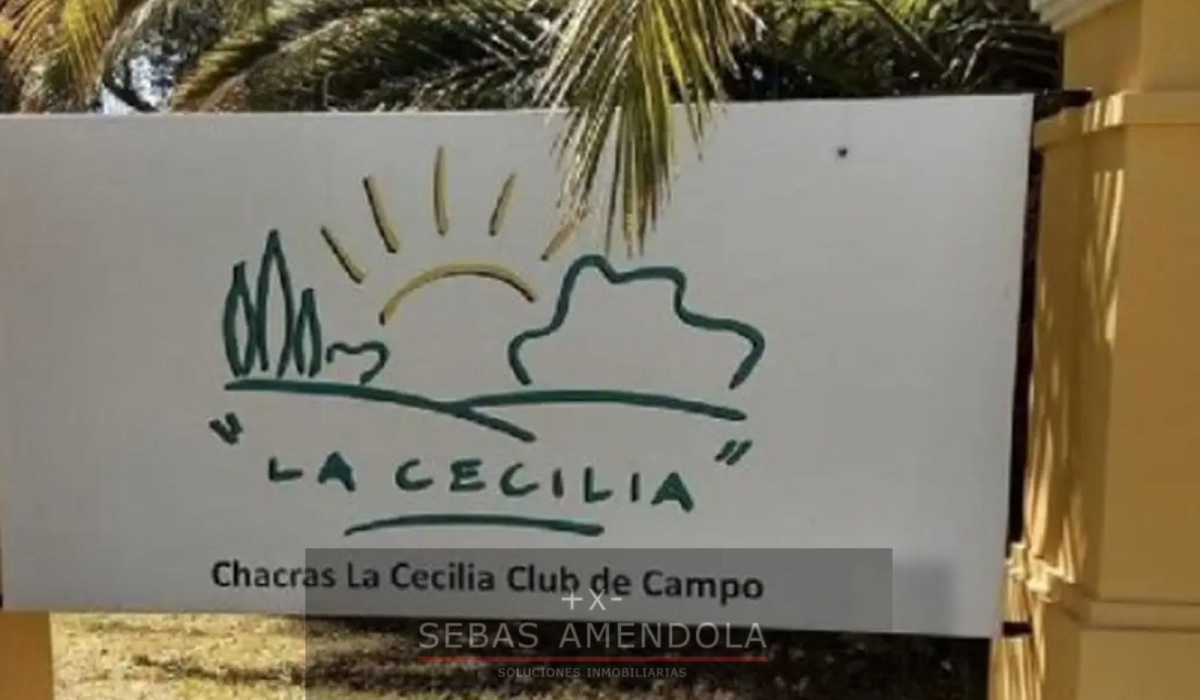 Lote,En Venta,1482