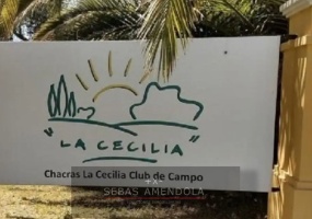 Lote,En Venta,1482